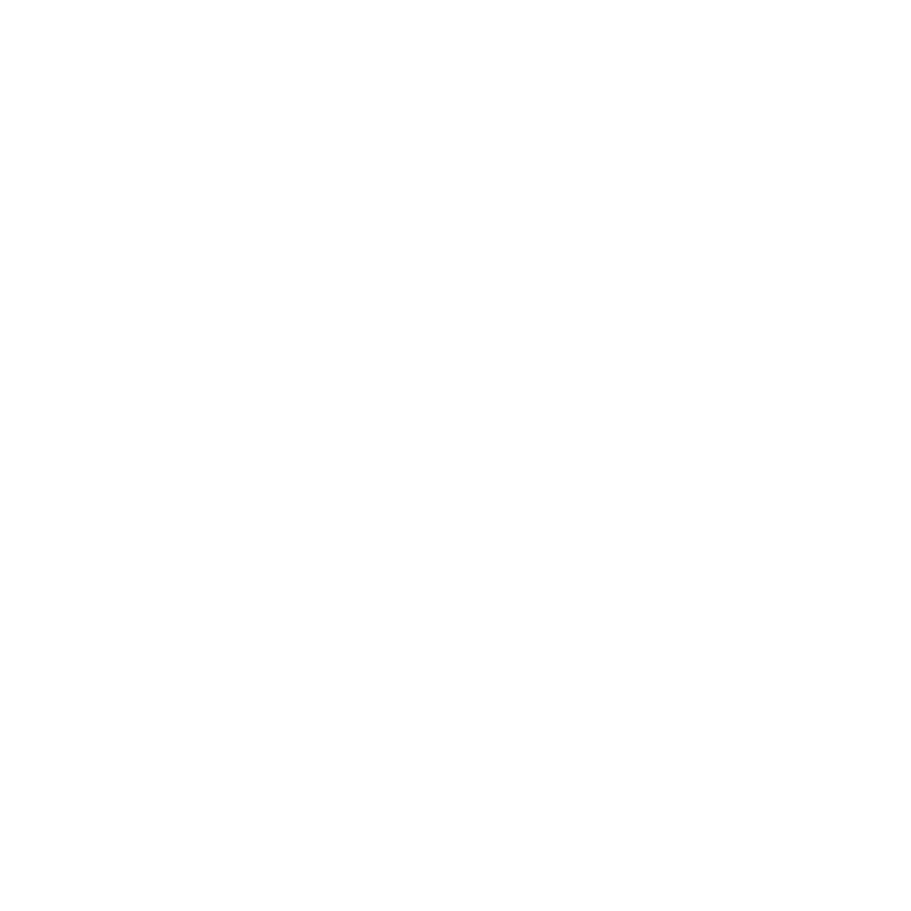 TPI Logo White